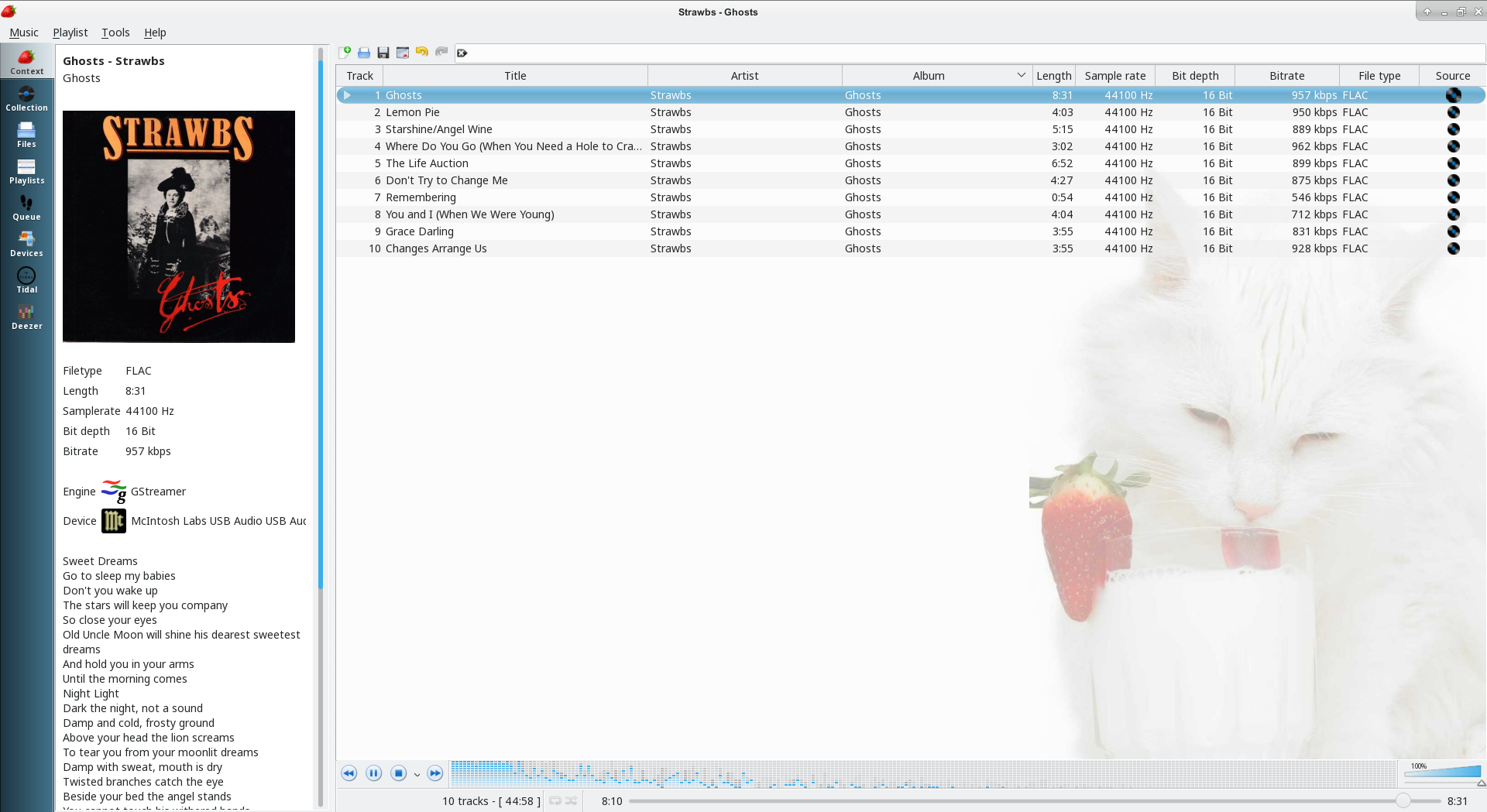 Strawberry Music Player 1.0.18 instal
