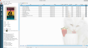 Strawberry Music Player 1.0.18 for ios download